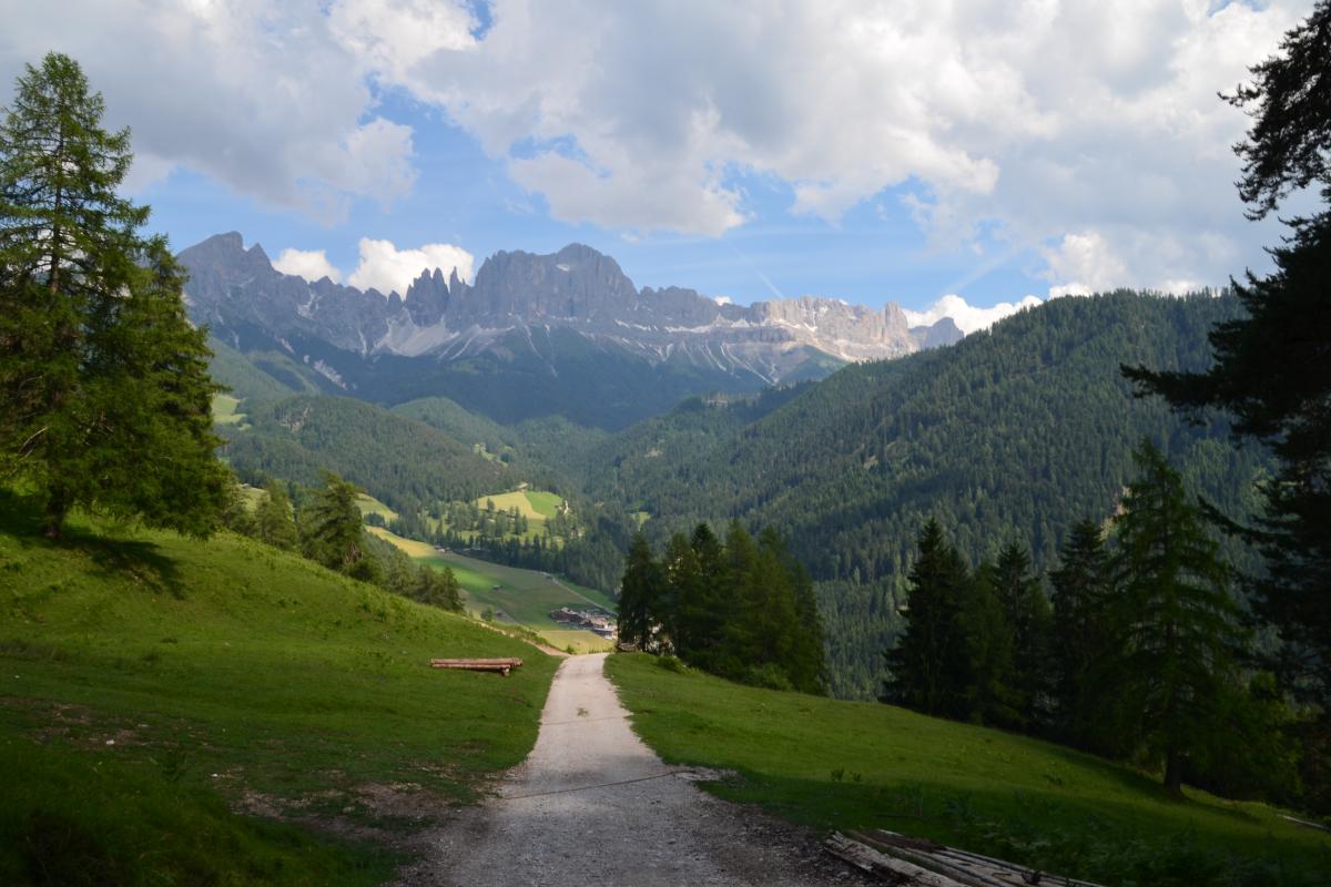 Tschafon - Voelseggspitze 28.06.2021